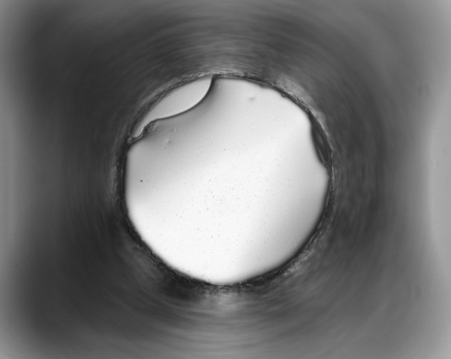 X0000088020249200706081447