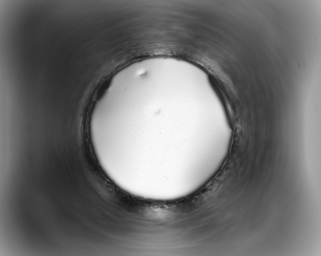 X0000088020250200706081447