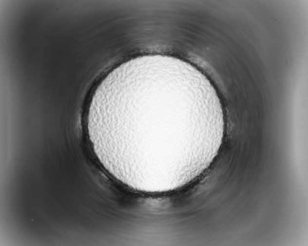 X0000088020251200706081447