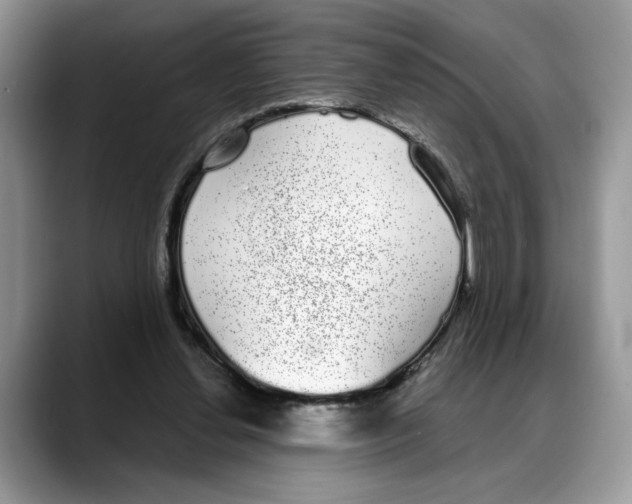 X0000088020252200706081447