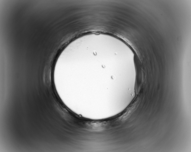 X0000088020253200706081447