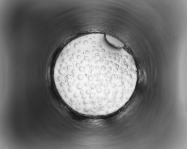 X0000088020254200706081447