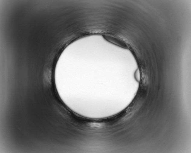 X0000088020255200706081447