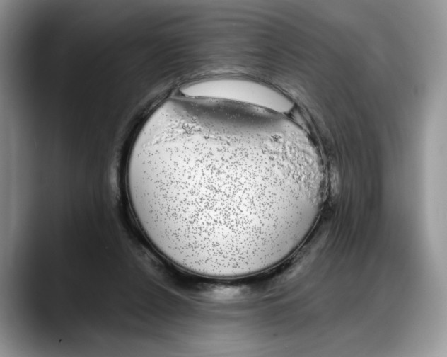 X0000088020256200706081447