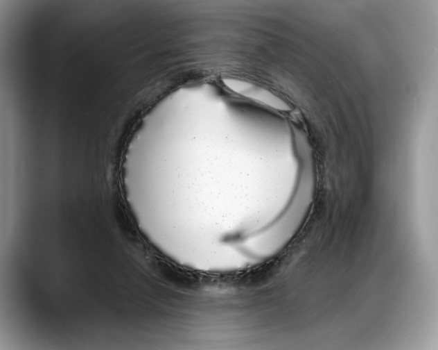 X0000088020258200706081447