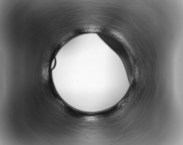 X0000088020259200706081447