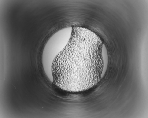 X0000088020260200706081447