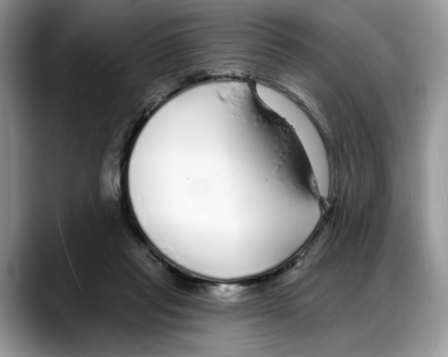 X0000088020261200706081447