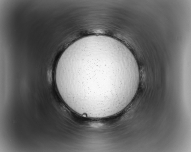 X0000088020262200706081447