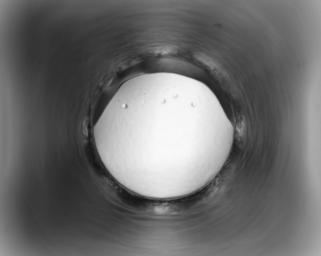 X0000088020264200706081447