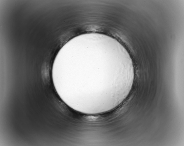 X0000088020265200706081447