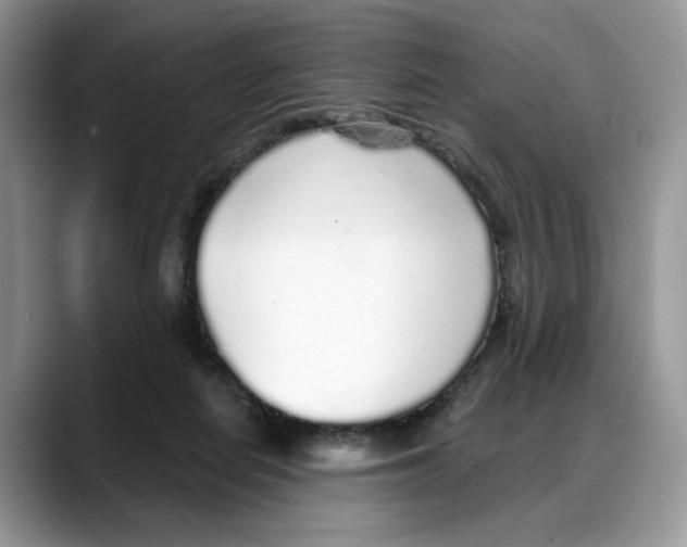 X0000088020266200706081447