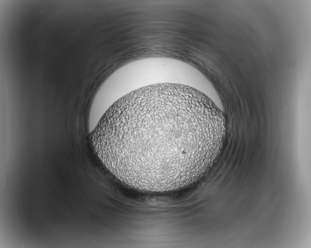 X0000088020268200706081447