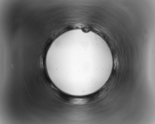 X0000088020270200706081447