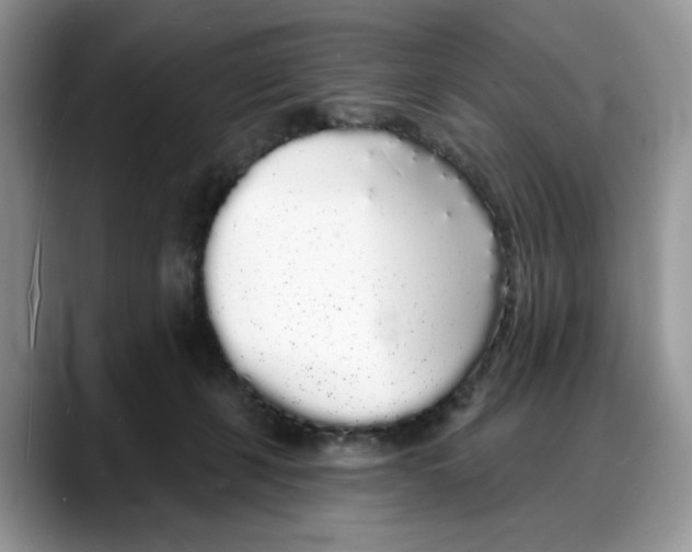 X0000088020271200706081447