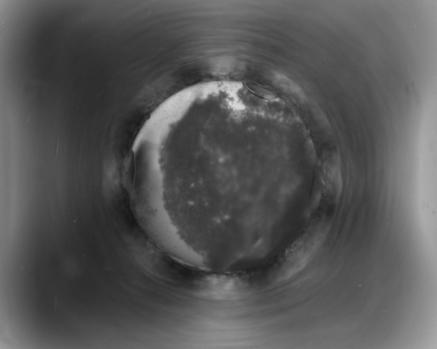 X0000088020272200706081447