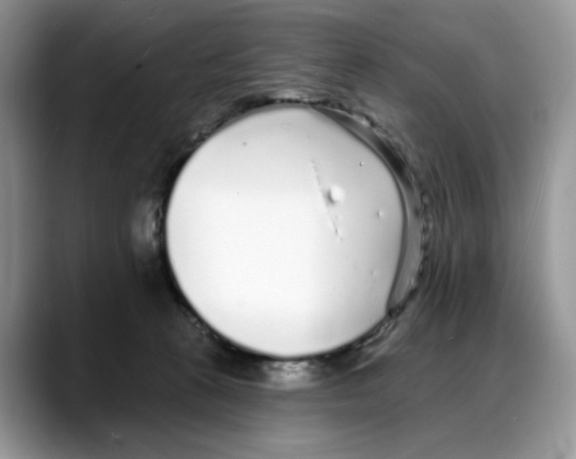X0000088020273200706081447
