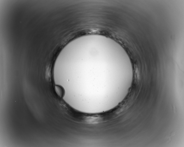 X0000088020274200706081447