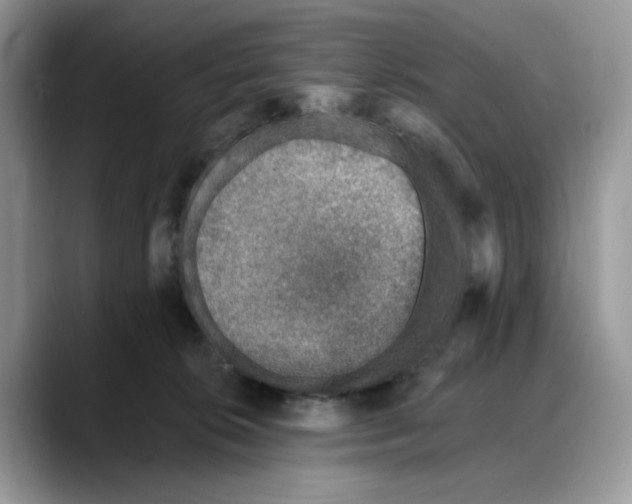 X0000088020276200706081447