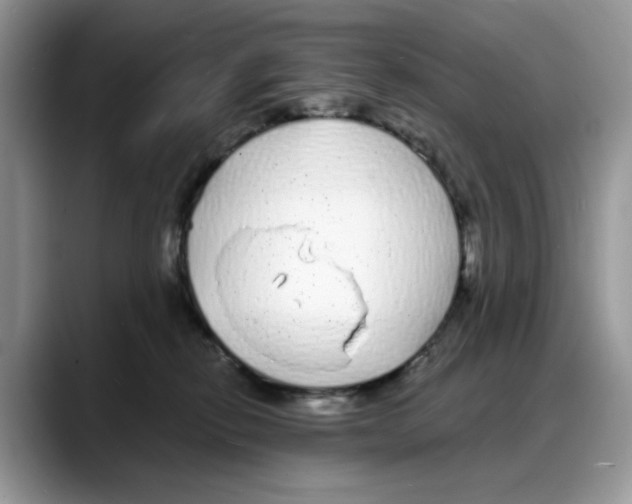 X0000088020278200706081447