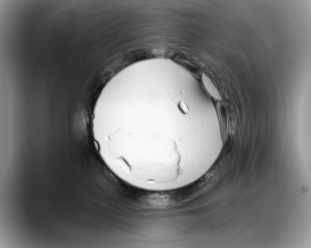X0000088020279200706081447