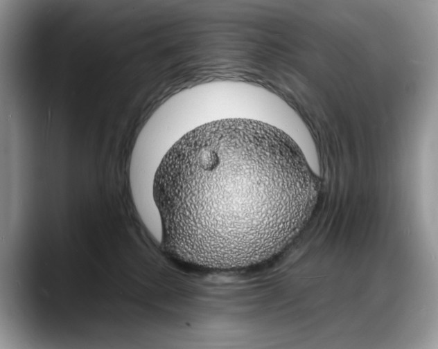 X0000088020280200706081447