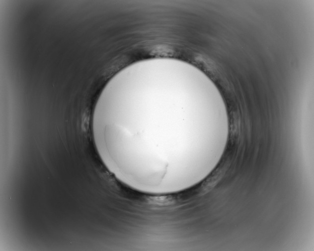 X0000088020281200706081447