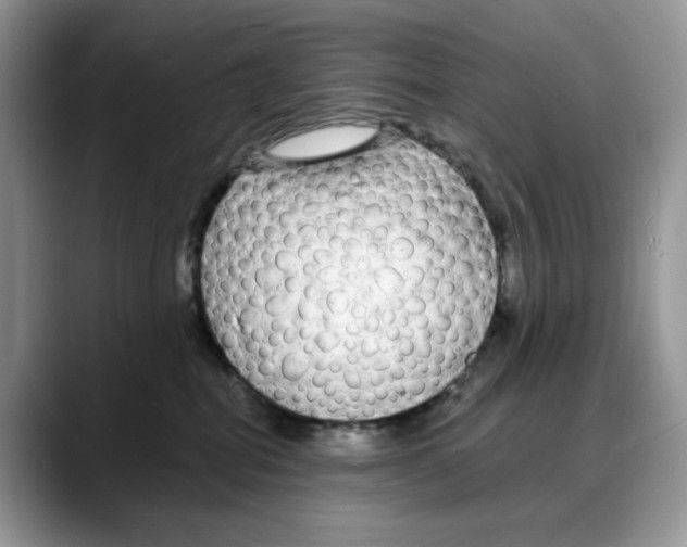 X0000088020282200706081447