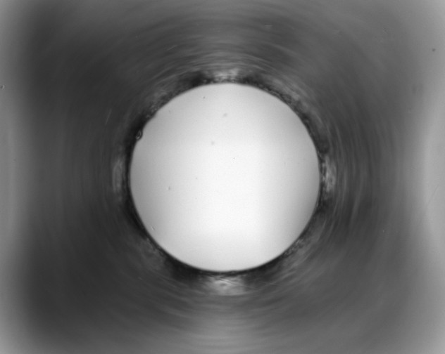 X0000088020283200706081447