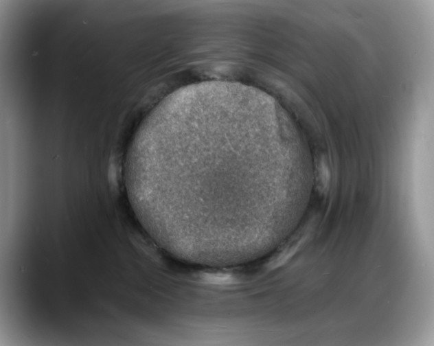 X0000088020284200706081447