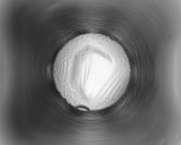 X0000088020286200706081447