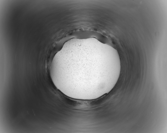X0000088020288200706081447