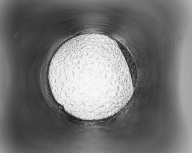 X0000088020289200706081447