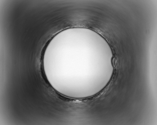 X0000088020290200706081447