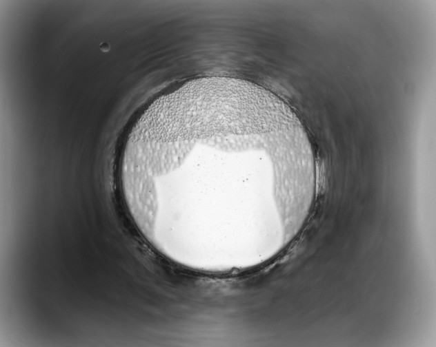 X0000088020291200706081447