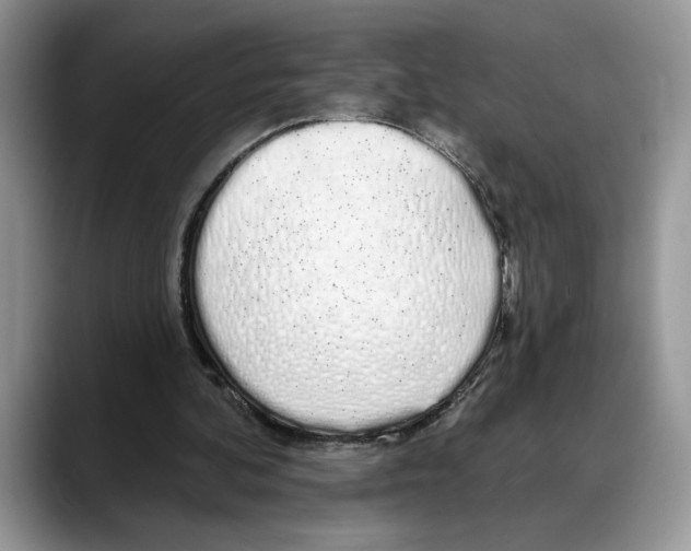X0000088020292200706081447
