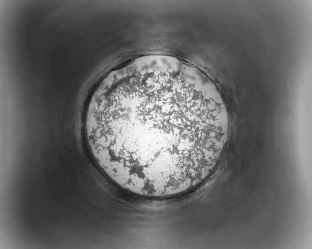 X0000088020293200706081447
