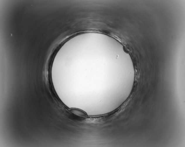X0000088020294200706081447