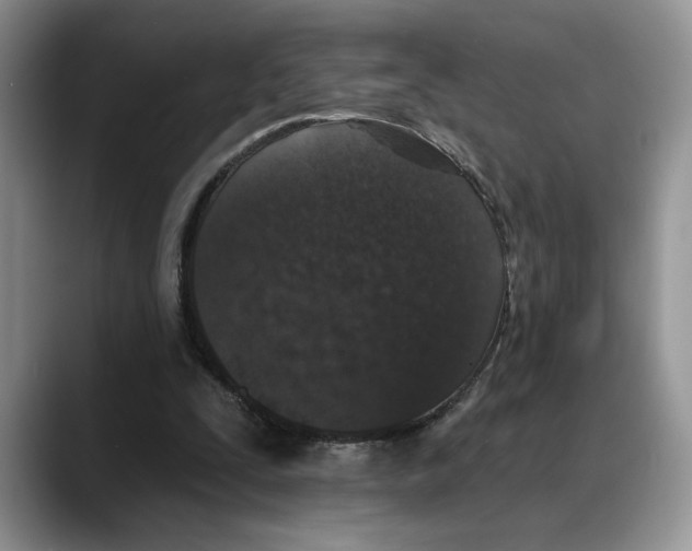 X0000088020295200706081447