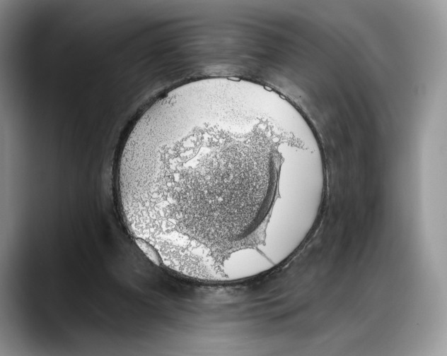 X0000088020297200706081447