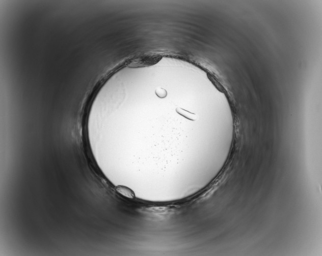 X0000088020298200706081447