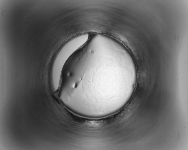 X0000088020299200706081447