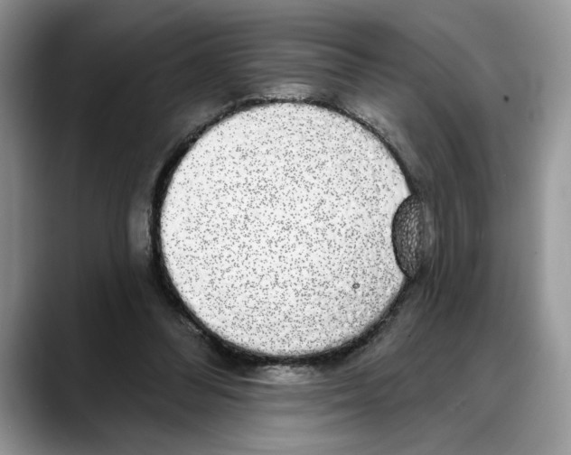 X0000088020300200706081447