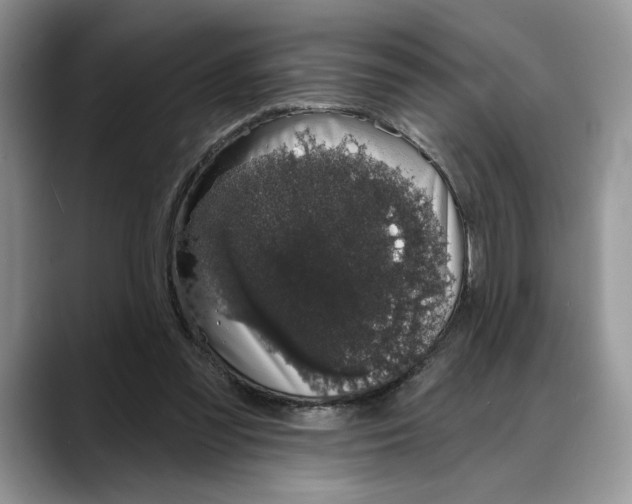 X0000088020301200706081447