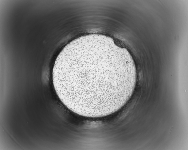 X0000088020304200706081447