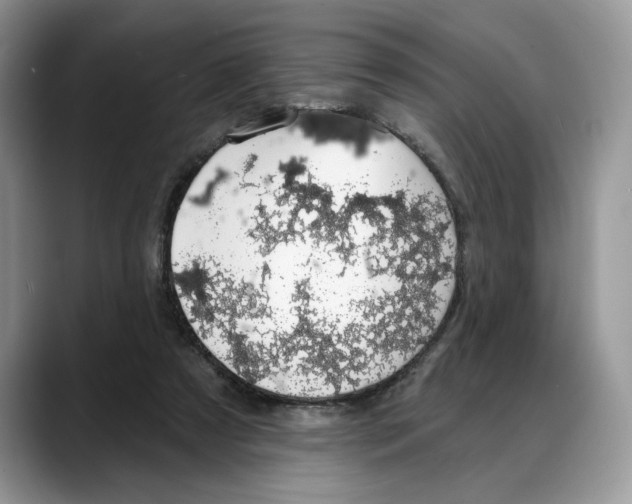 X0000088020305200706081447