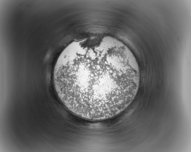 X0000088020309200706081446