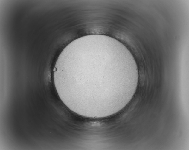 X0000088020310200706081446