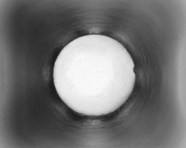 X0000088020311200706081446