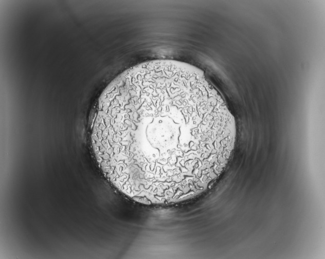X0000088020313200706081446